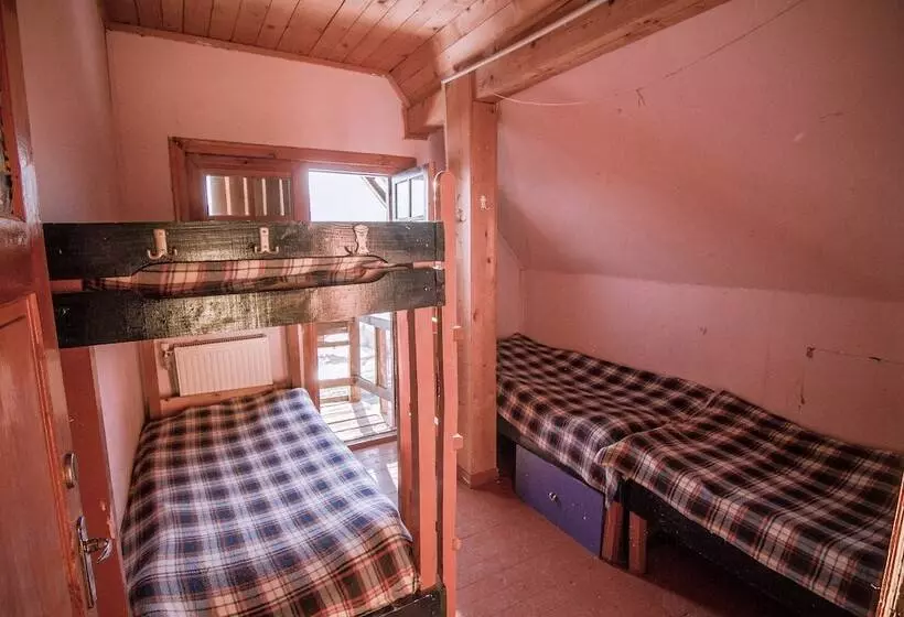 Big Trip Hostel