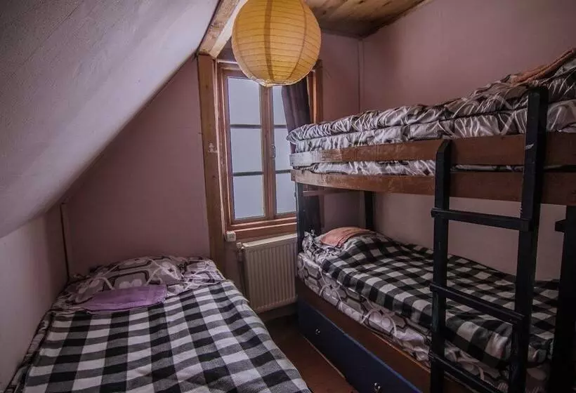 Big Trip Hostel