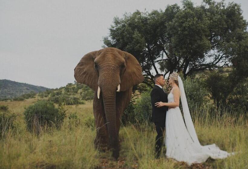 호텔 Glen Afric Country Lodge