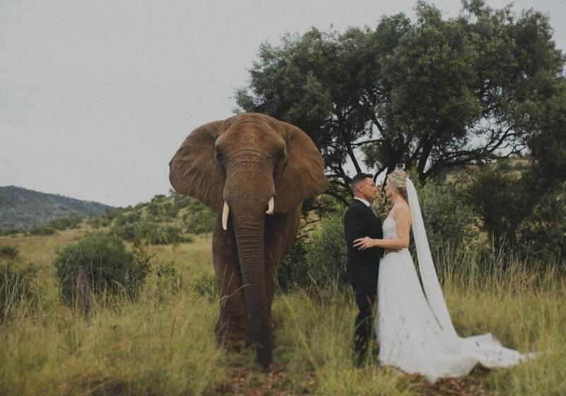 호텔 Glen Afric Country Lodge