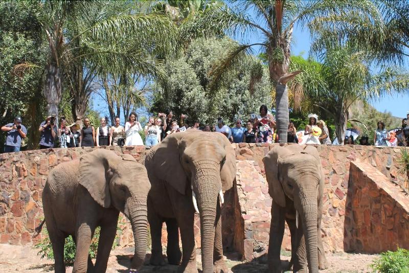 호텔 Glen Afric Country Lodge