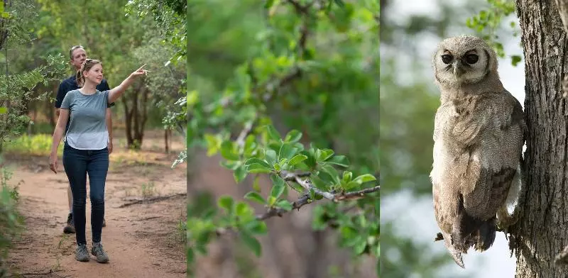 ホテル Twiga Travel