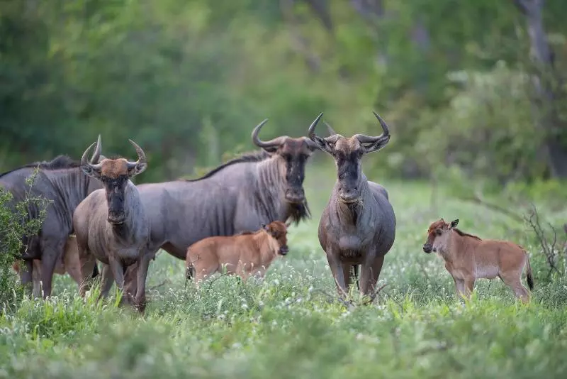 ホテル Twiga Travel