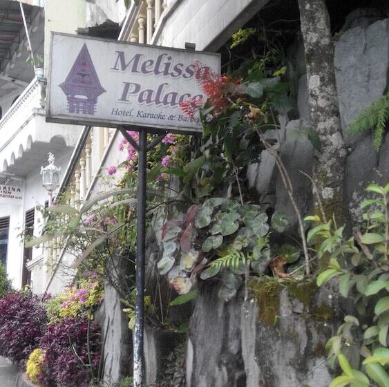 پانسیون Melissa Palace Hotel And Karaoke