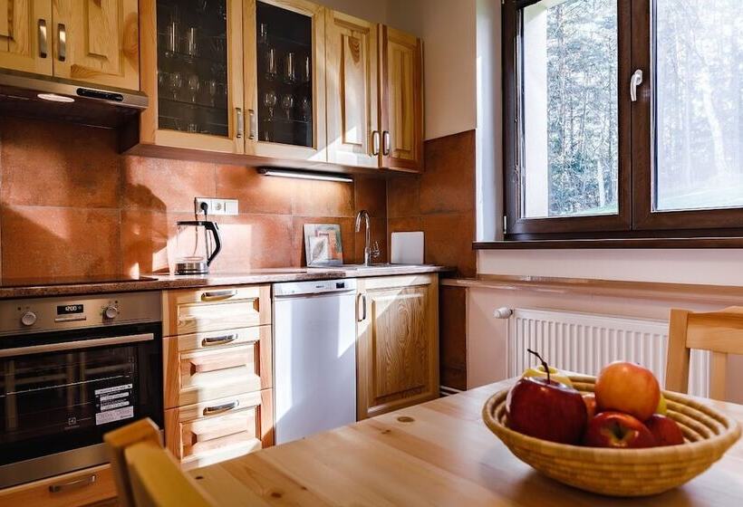 פנסיון Spa Pod Javory