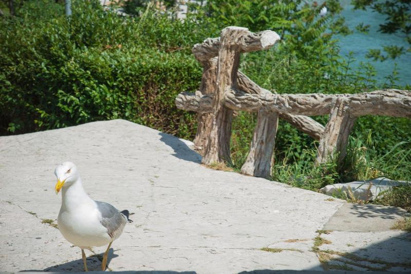 ホテル Effect Boutique Villa Azzura   Adults Only