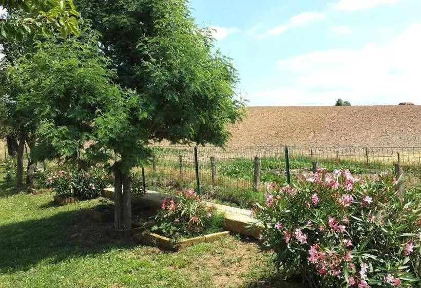 Agriturismo Airone