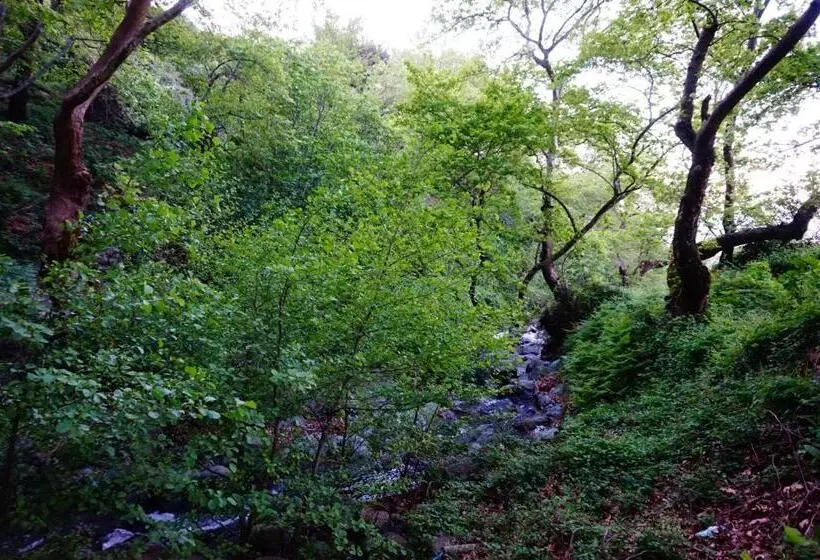 ペンション Galini