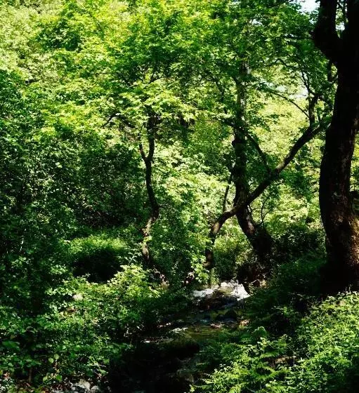 ペンション Galini