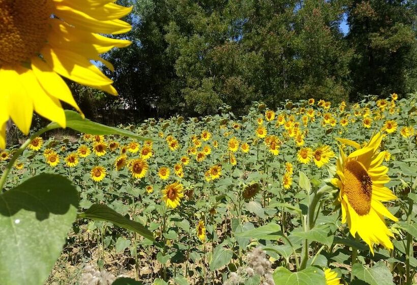 Pensão Quinta Dos Lagos