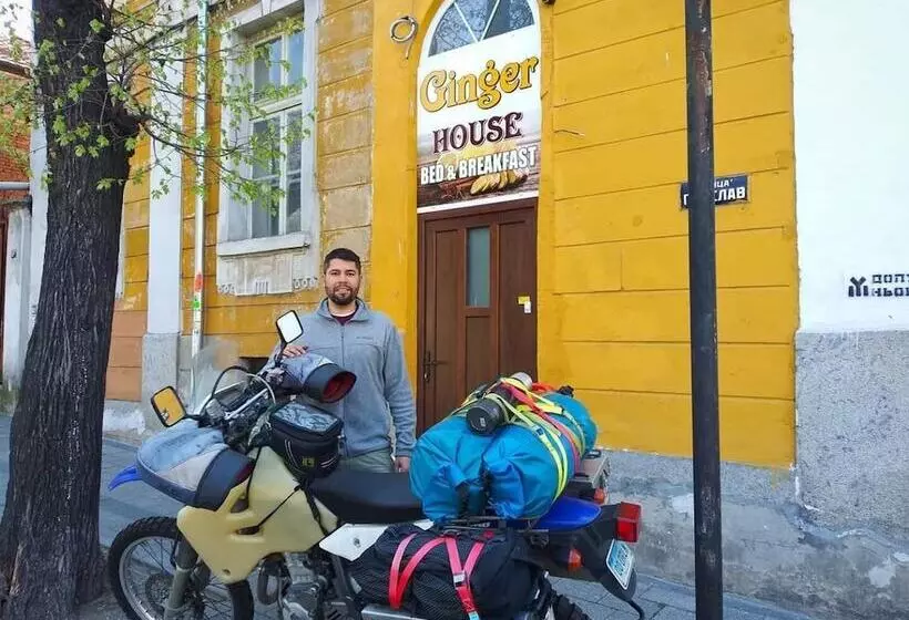 تختخواب و صبحانه Hostel Ginger House