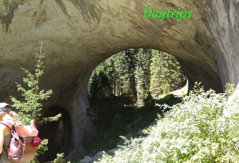 민박 Hostel Ginger House