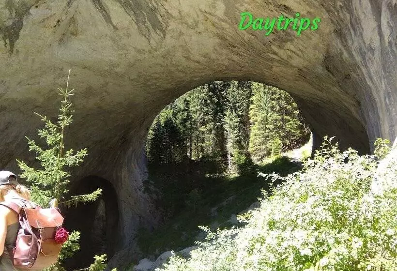 تختخواب و صبحانه Hostel Ginger House