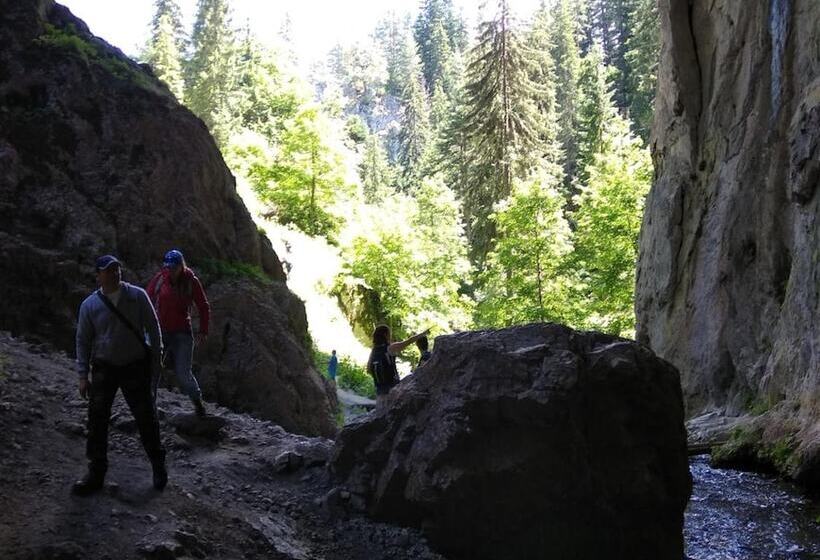 민박 Hostel Ginger House