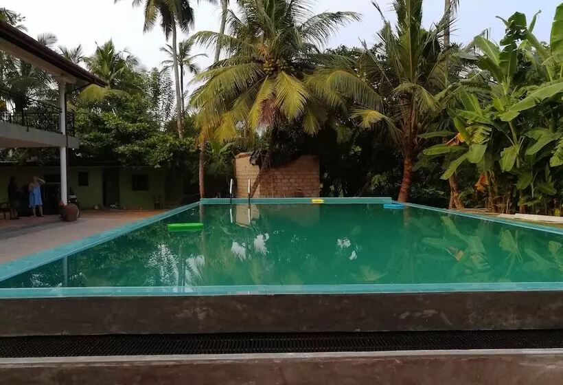 تختخواب و صبحانه Abundia