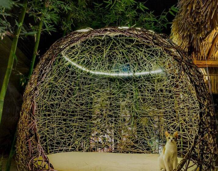 בית מלון כפרי Solera Tulum With Pool