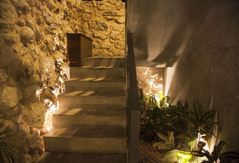 בית מלון כפרי Solera Tulum With Pool