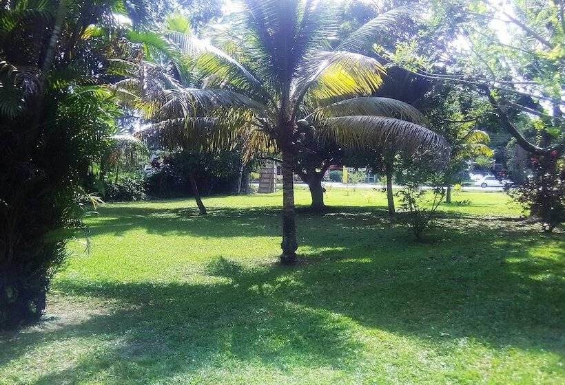 Pension (Hôtel basse catégorie) Cozy Coco