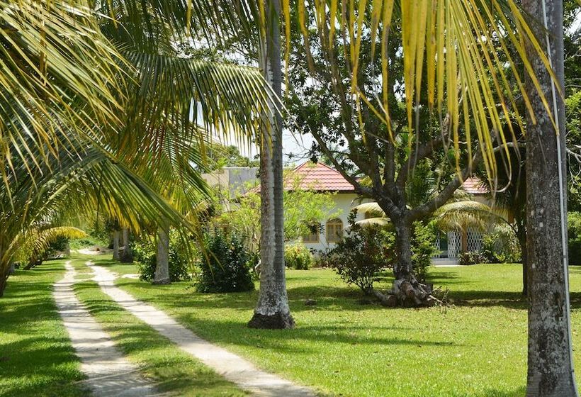 Pension (Hôtel basse catégorie) Cozy Coco