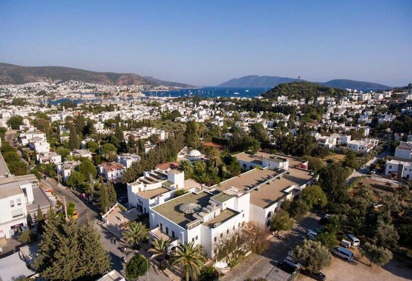 Отель Karia Princess