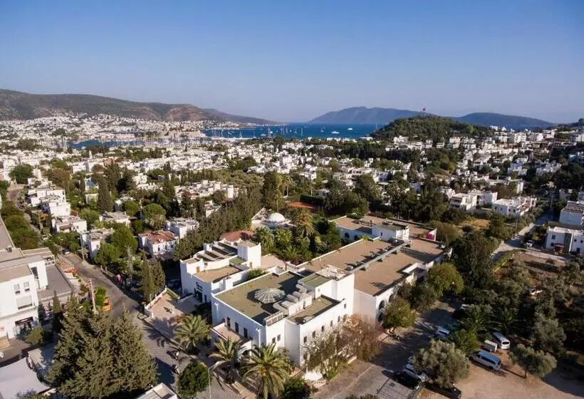 酒店 Karia Princess