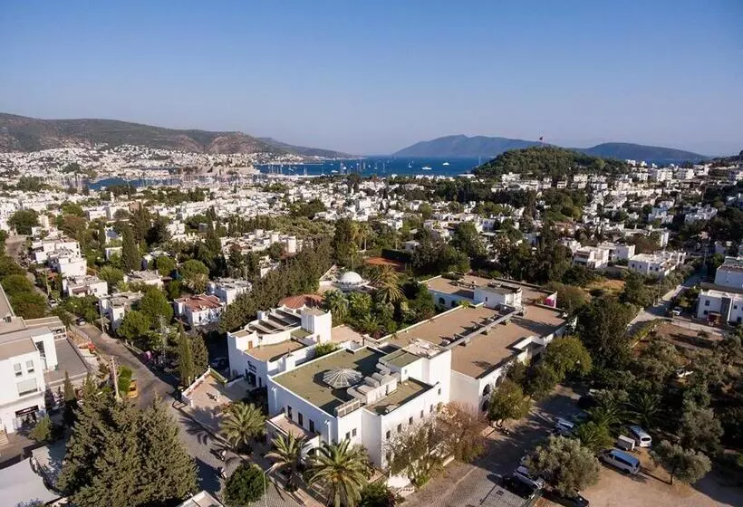 酒店 Karia Princess