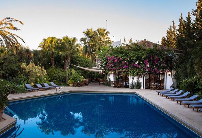 Отель Karia Princess