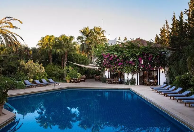 酒店 Karia Princess