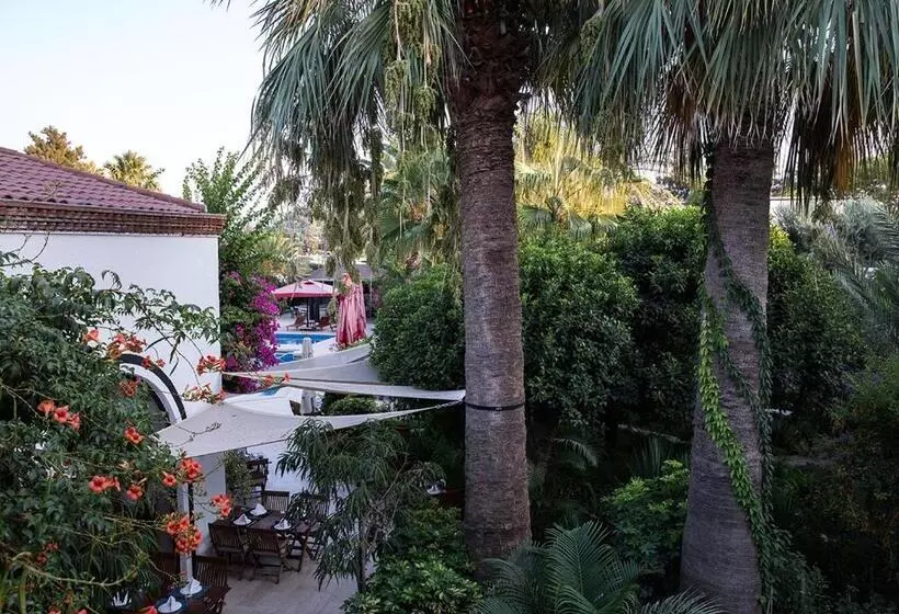 酒店 Karia Princess