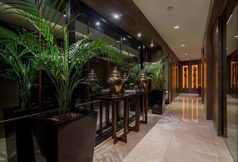 The New Hotel Zeybek