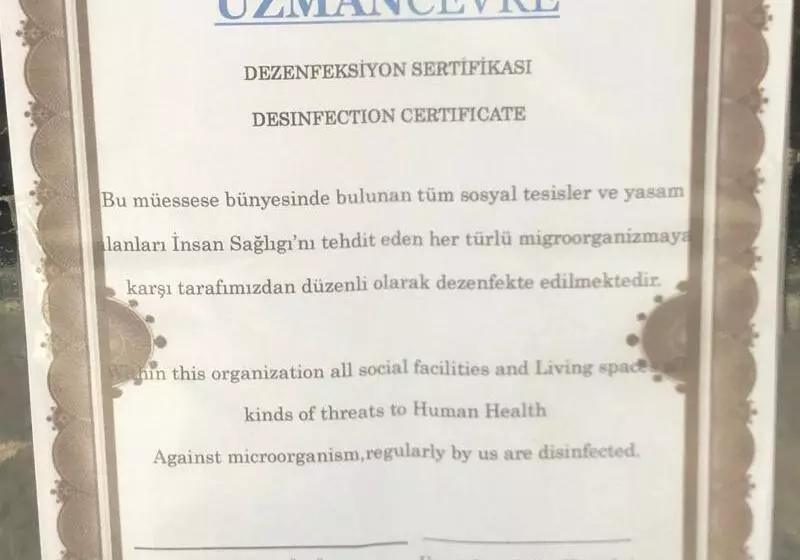 The New Hotel Zeybek