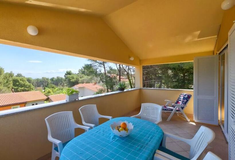 Franulovic Apartments