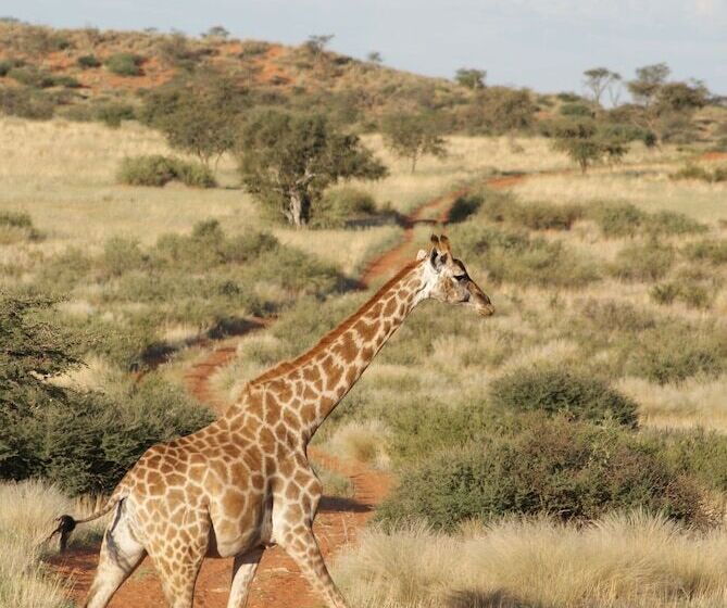 هتل Auob Country Lodge