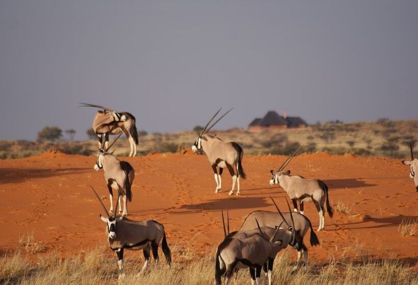 هتل Auob Country Lodge