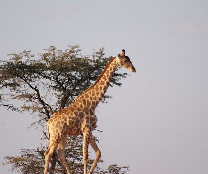 هتل Auob Country Lodge