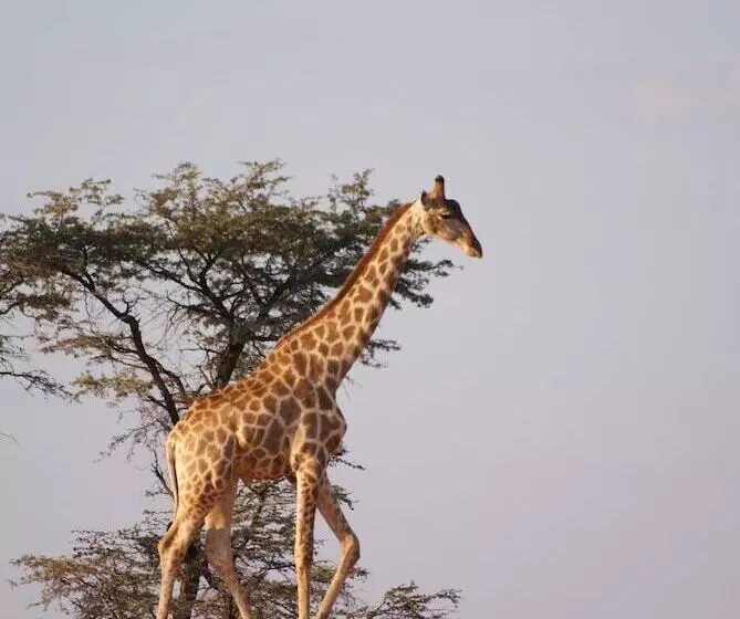 هتل Auob Country Lodge