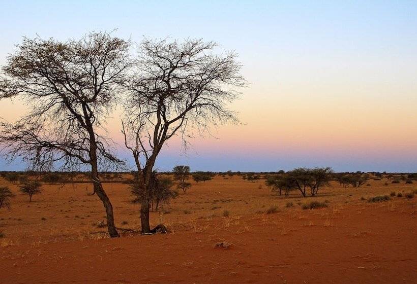 هتل Auob Country Lodge