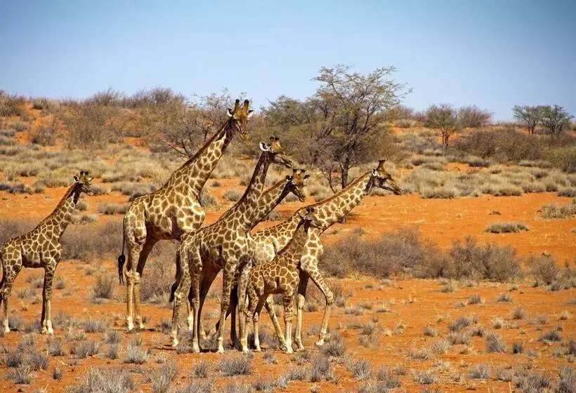 هتل Auob Country Lodge