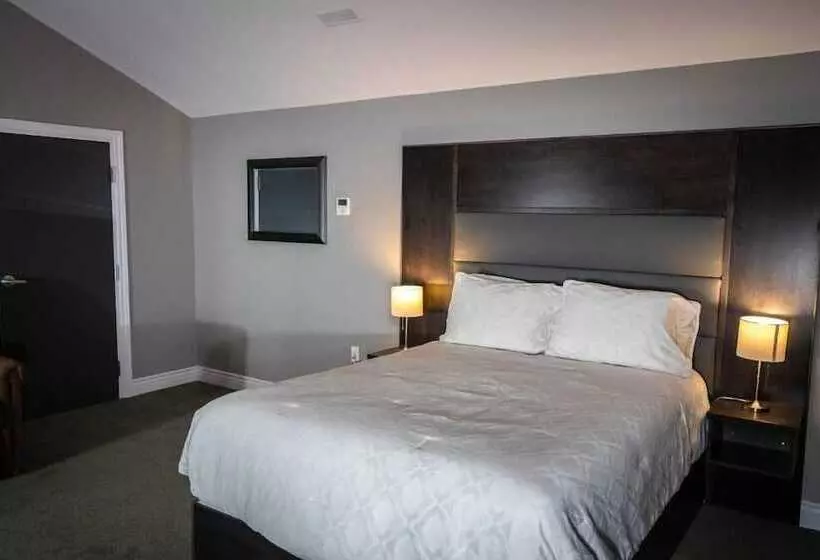 Motelli Newfound Inn & Suites