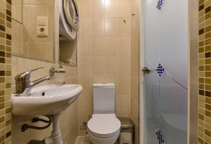 Rentalspb 4 Studio Antonenko