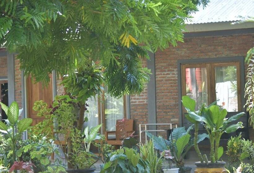 مبيت وإفطار Del Mar Home Stay And Cafe