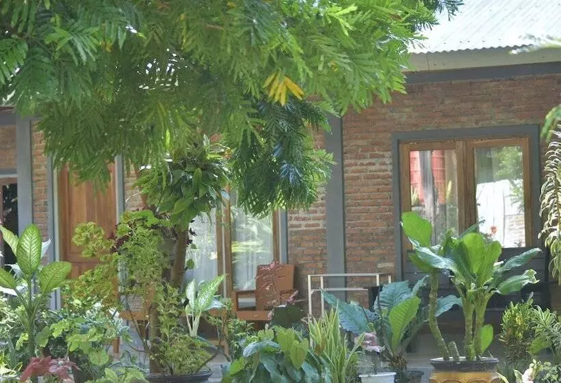 Aamiaismajoitus (B&B) Del Mar Home Stay And Cafe