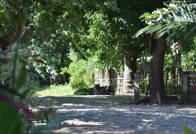 Aamiaismajoitus (B&B) Del Mar Home Stay And Cafe