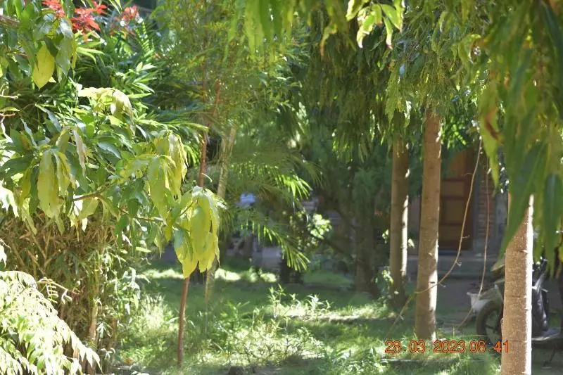 Aamiaismajoitus (B&B) Del Mar Home Stay And Cafe