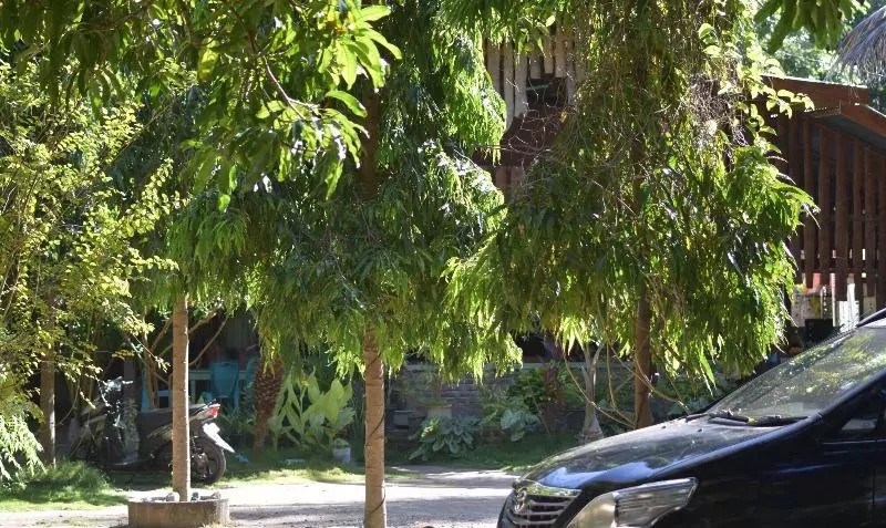 Aamiaismajoitus (B&B) Del Mar Home Stay And Cafe