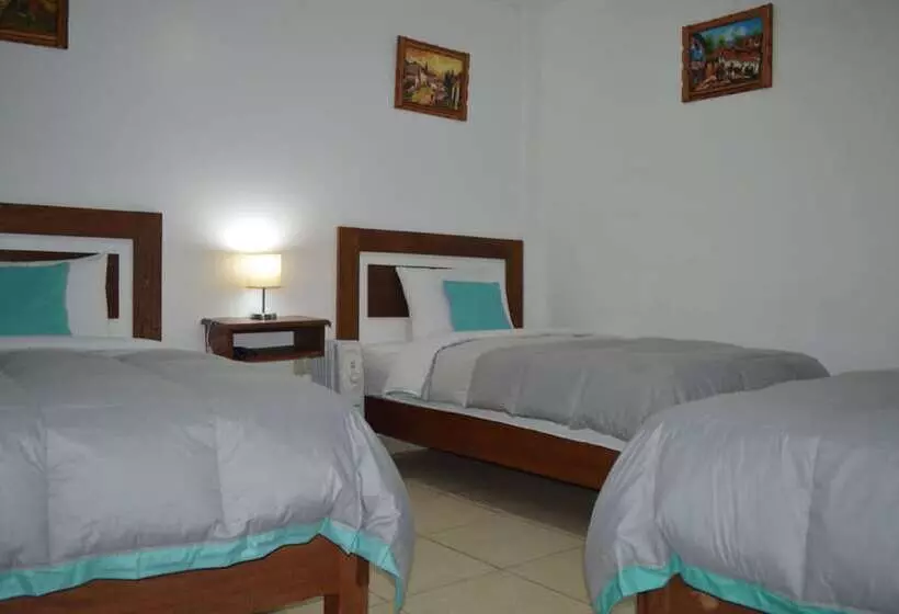 تختخواب و صبحانه Samuel's House