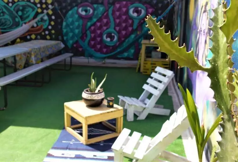 Daytripper Hostel