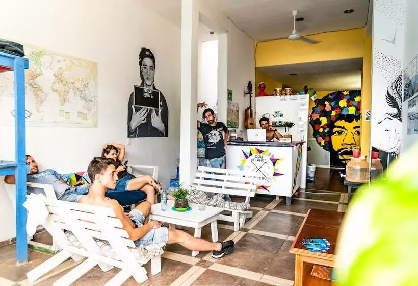 Daytripper Hostel