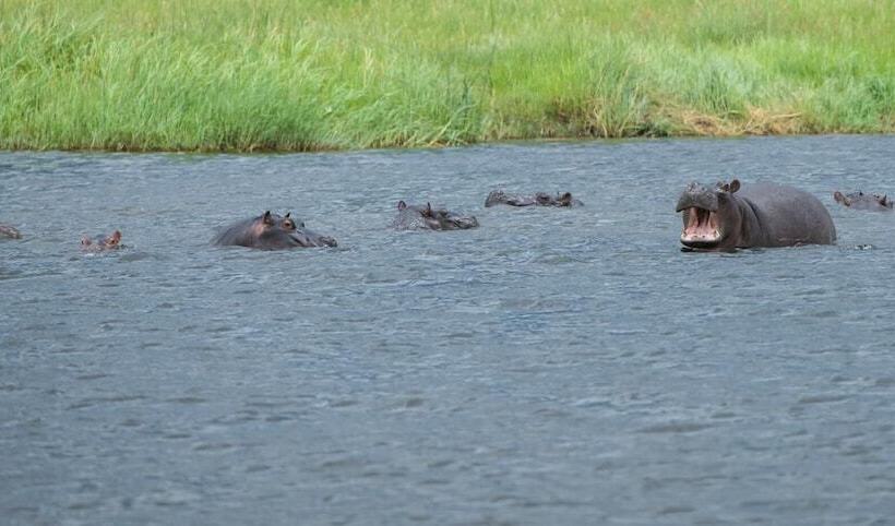هتل Leopard Plains
