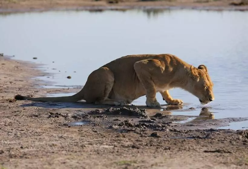 هتل Leopard Plains
